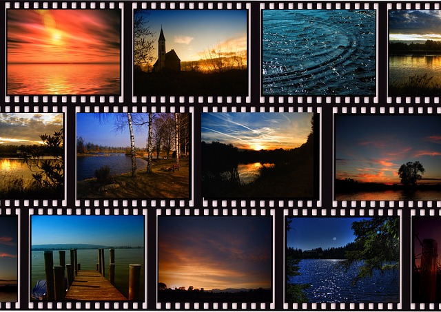 pixabay_52bcf08031be0021b3169877a7fa5ed6.jpg