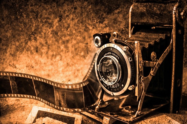 pixabay_d8ff7fdc99910074ba468c7fb1cae8ae.jpg